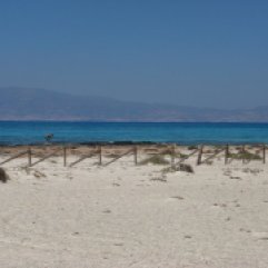 Chrissi Island - tour vanuit Stalis Kreta zonvakantie