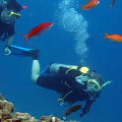 diving-in-Greece kos duiken zonvakantie