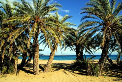 vai beach palmenstrand vakantie kreta griekenland 3