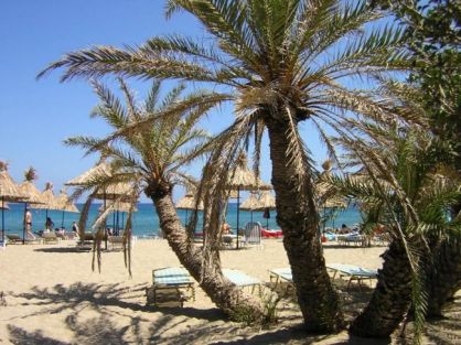 vai-palm-beach-vakantie kreta