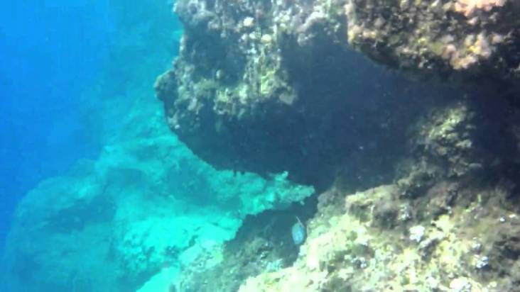 snorkelen en duiken op Hydra - vakantie griekenland 1