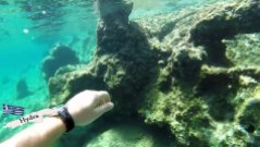 snorkelen en duiken op Hydra - vakantie griekenland 221